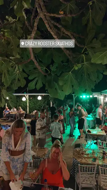A party night under the trees, everyone on their feet